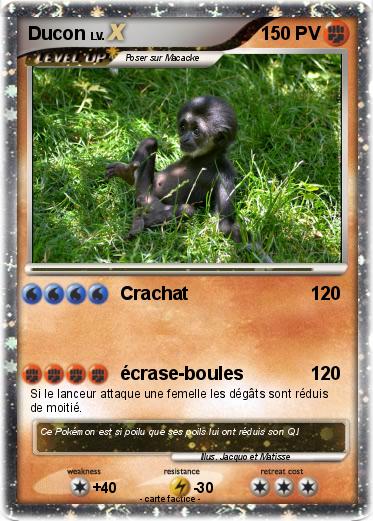 Pokemon Ducon