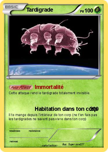 Pokemon Tardigrade