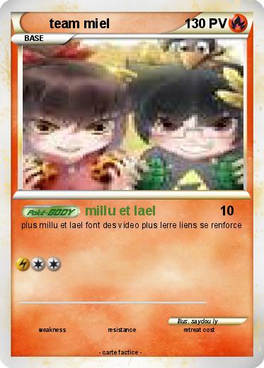 Pokemon team miel