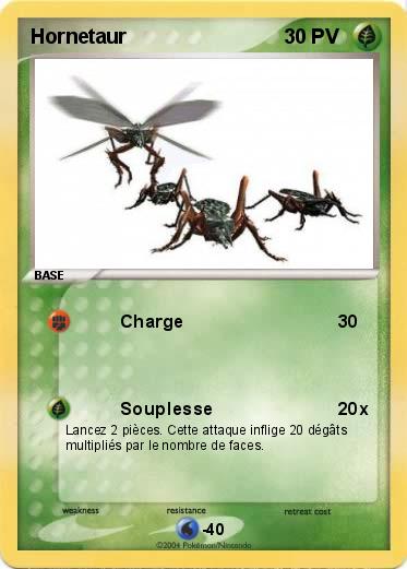 Pokemon Hornetaur