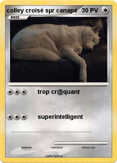 Pokemon colley croisé sµr canapé