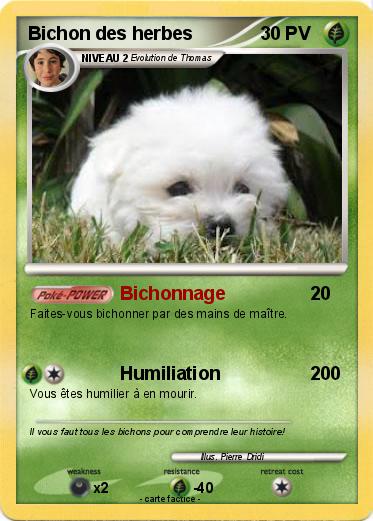 Pokemon Bichon des herbes