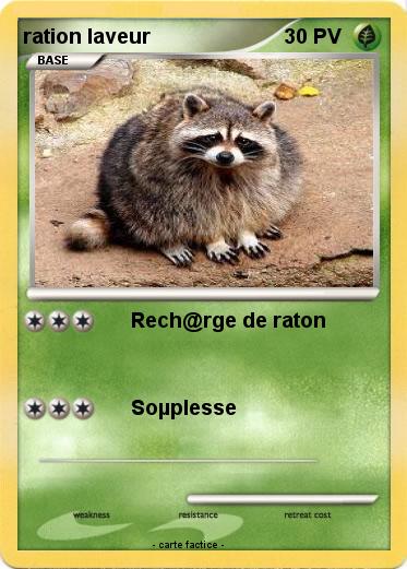 Pokemon ration laveur