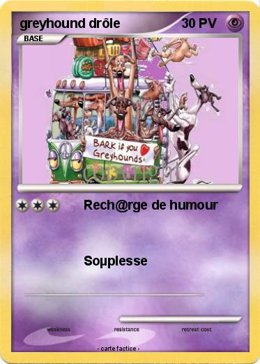 Pokemon greyhound drôle