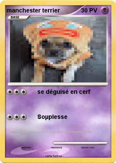 Pokemon manchester terrier