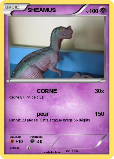 Pokemon SHEAMUS