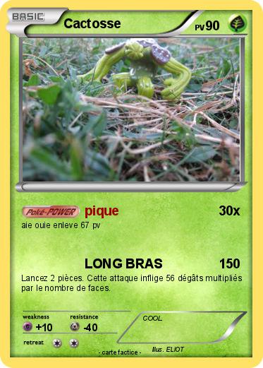 Pokemon Cactosse