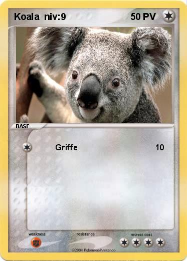 Pokemon Koala  niv:9