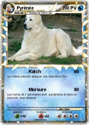 Pokemon Pyrénée