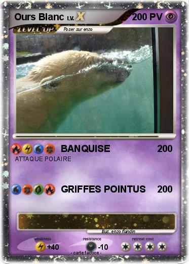 Pokemon Ours Blanc