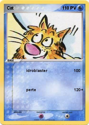 Pokemon Cat