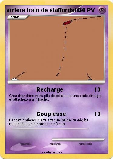 Pokemon arrière train de staffordshire