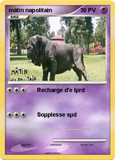Pokemon mâtin napolitain