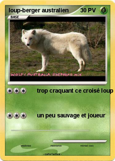 Pokemon loup-berger australien