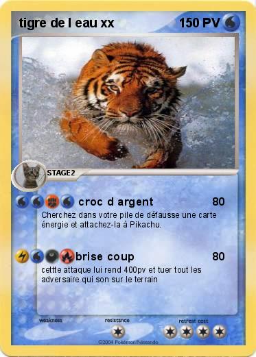 Pokemon tigre de l eau xx