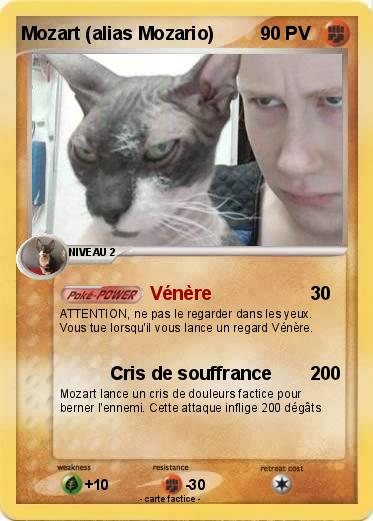 Pokemon Mozart (alias Mozario)