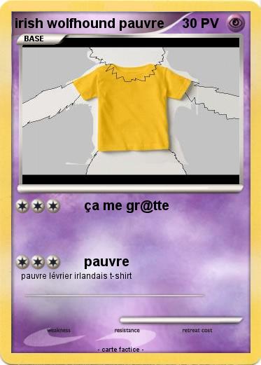 Pokemon irish wolfhound pauvre