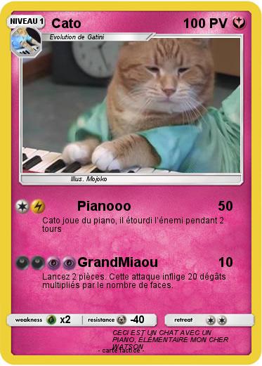 Pokemon Cato