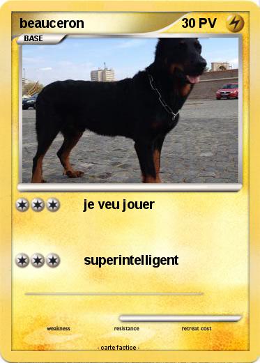 Pokemon beauceron