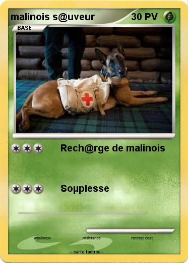 Pokemon malinois s@uveur