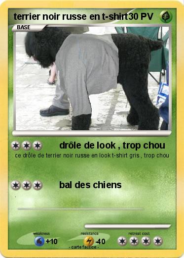 Pokemon terrier noir russe en t-shirt