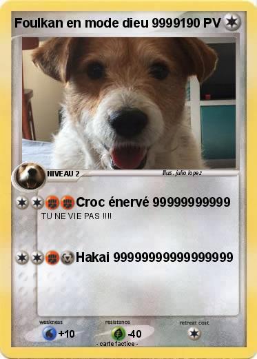 Pokemon Foulkan en mode dieu 9999