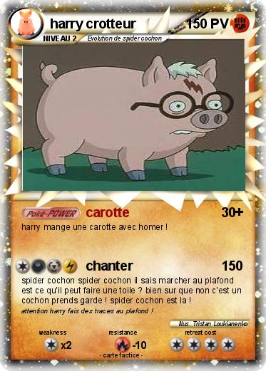 Pokemon harry crotteur