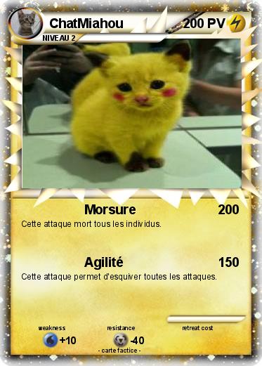 Pokemon ChatMiahou