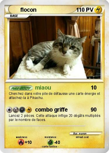 Pokemon flocon