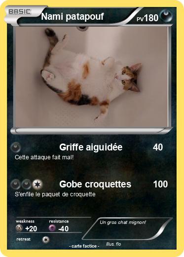 Pokemon Nami patapouf