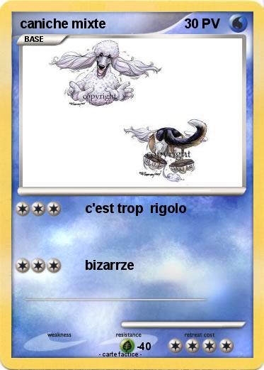 Pokemon caniche mixte