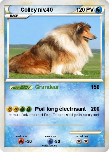 Pokemon Colley niv.40