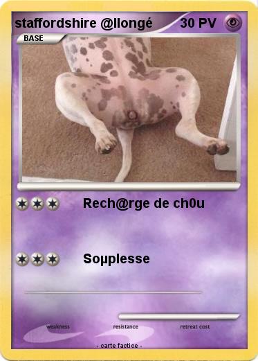 Pokemon staffordshire @llongé