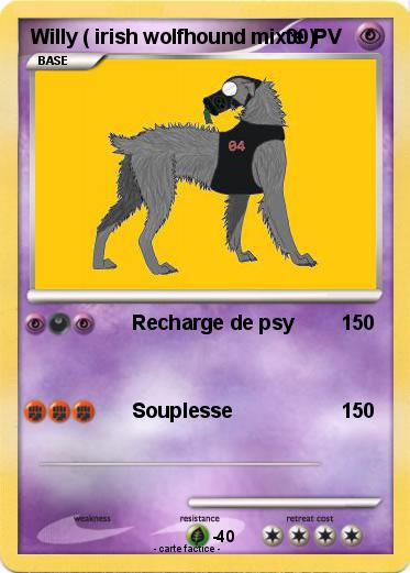 Pokemon Willy ( irish wolfhound mixte )