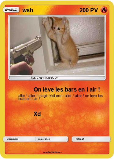 Pokemon wsh