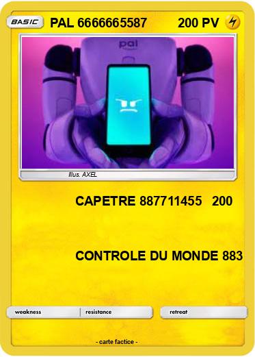Pokemon PAL 6666665587