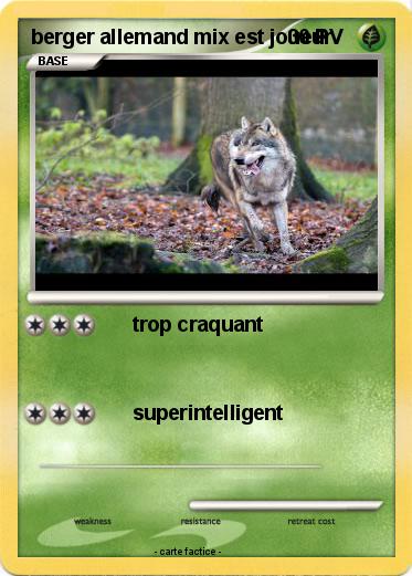 Pokemon berger allemand mix est joueur