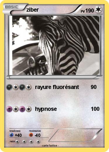 Pokemon ziber