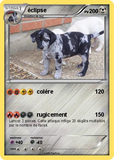 Pokemon éclipse