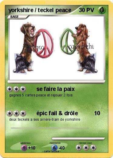 Pokemon yorkshire / teckel peace