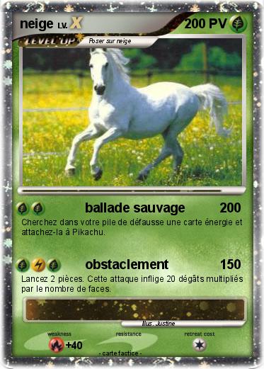 Pokemon neige