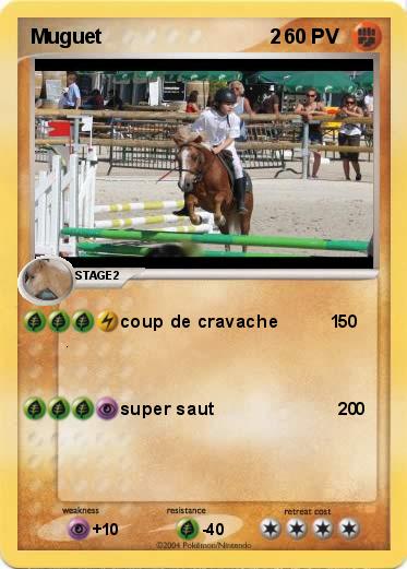 Pokemon Muguet                              2