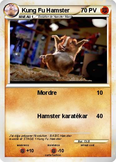 Pokemon Kung Fu Hamster