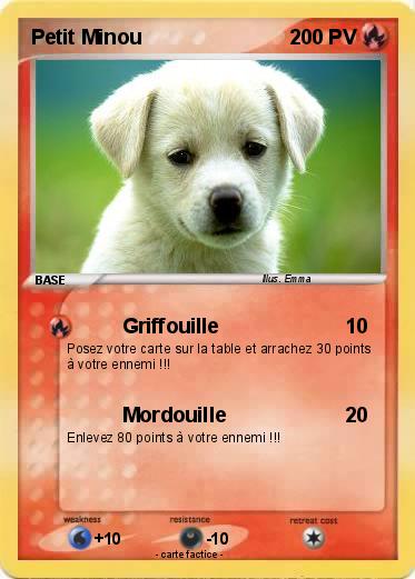 Pokemon Petit Minou