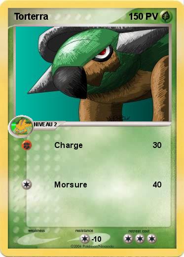 Pokemon Torterra