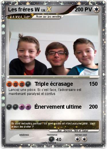 Pokemon Les frères W