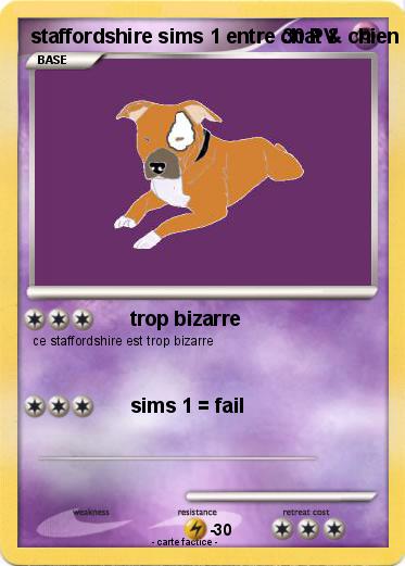 Pokemon staffordshire sims 1 entre chat & chien