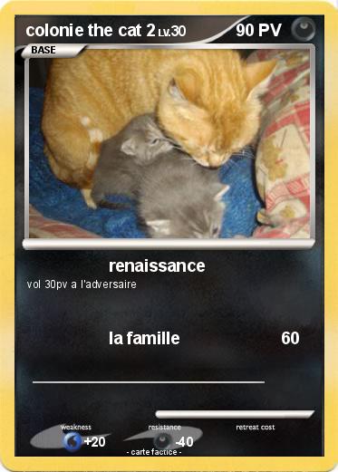 Pokemon colonie the cat 2