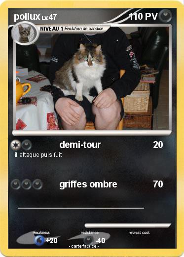 Pokemon poilux