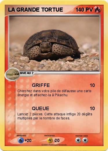 Pokemon LA GRANDE TORTUE